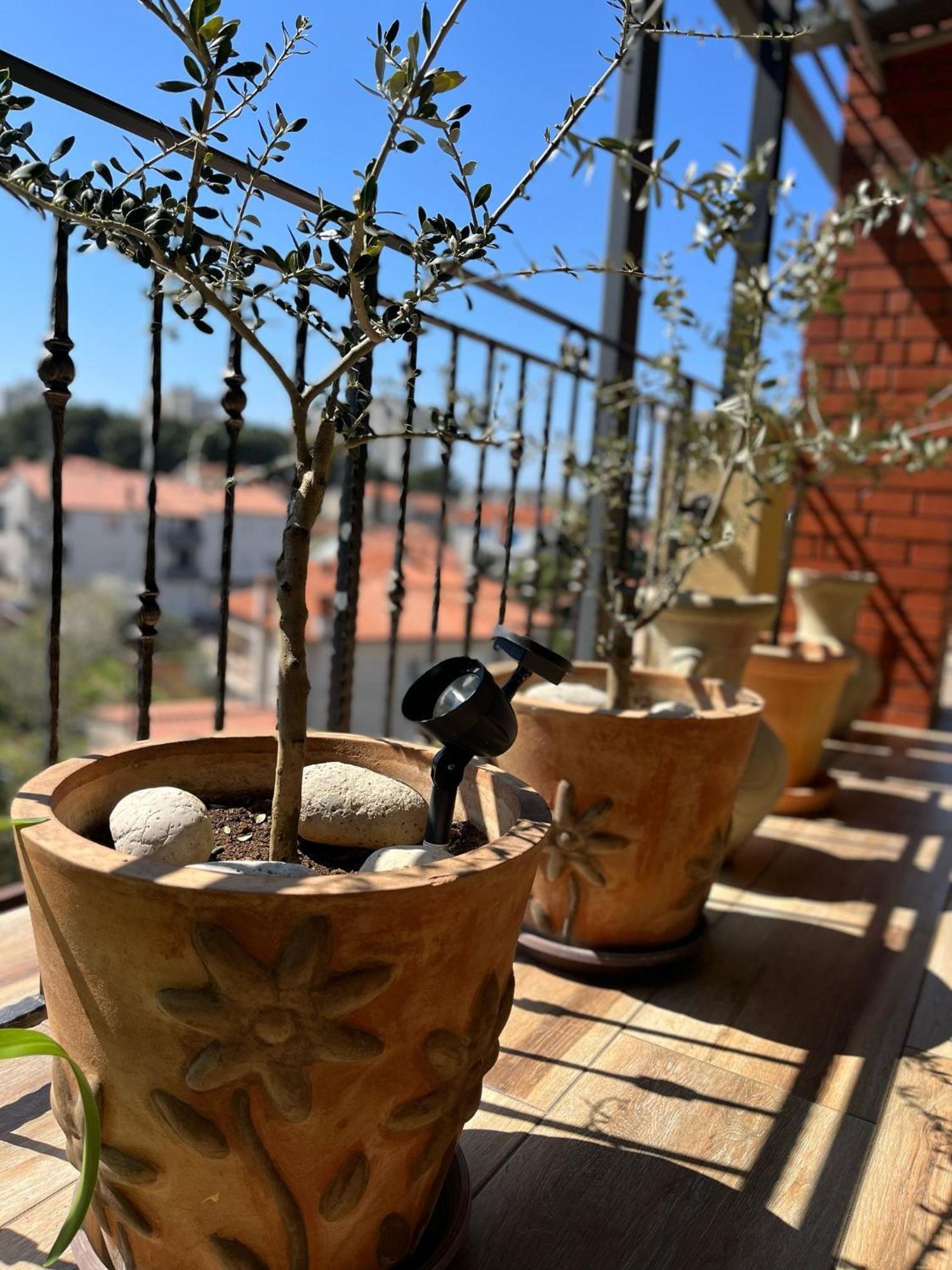 Art Apartment Sole Pula Bagian luar foto